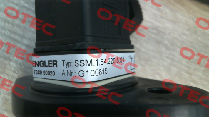 SSM.1.B4.220.5.S1 Engler