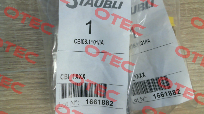 CBI06.1101/IA Staubli