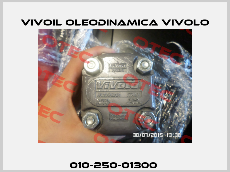 010-250-01300  Vivoil Oleodinamica Vivolo