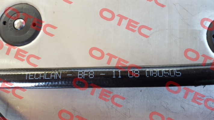 BF 8   10073464  Tecalan