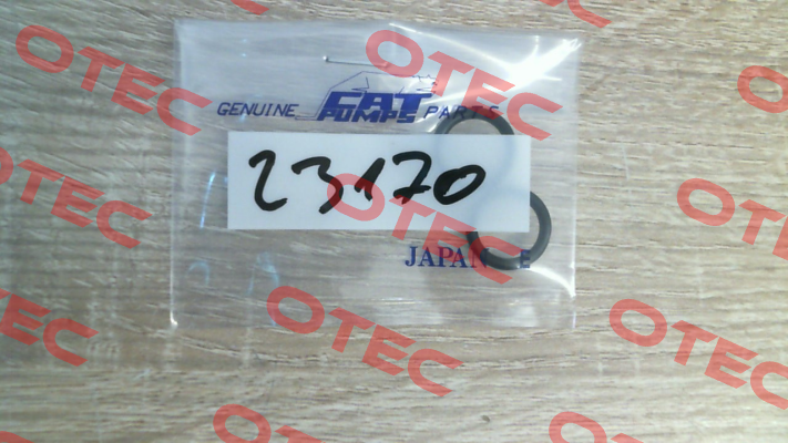 23170 Cat Pumps