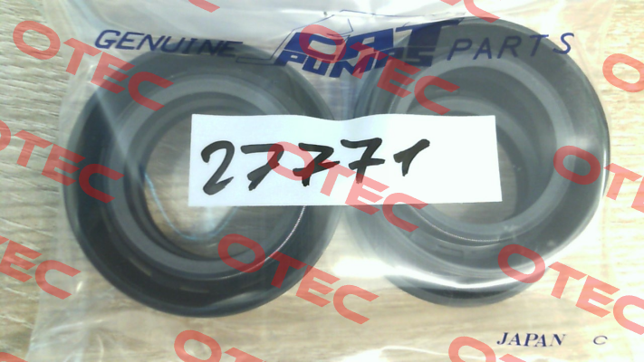 27771 Cat Pumps