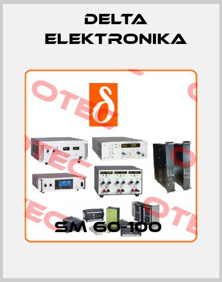 SM 60-100  Delta Elektronika