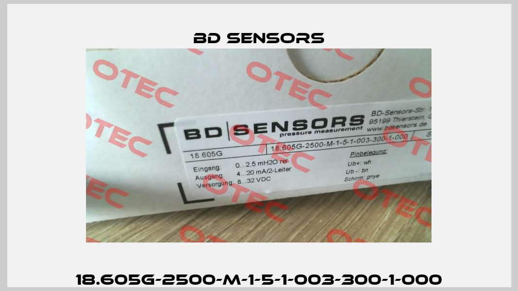 18.605G-2500-M-1-5-1-003-300-1-000 Bd Sensors