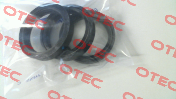 44757 Cat Pumps
