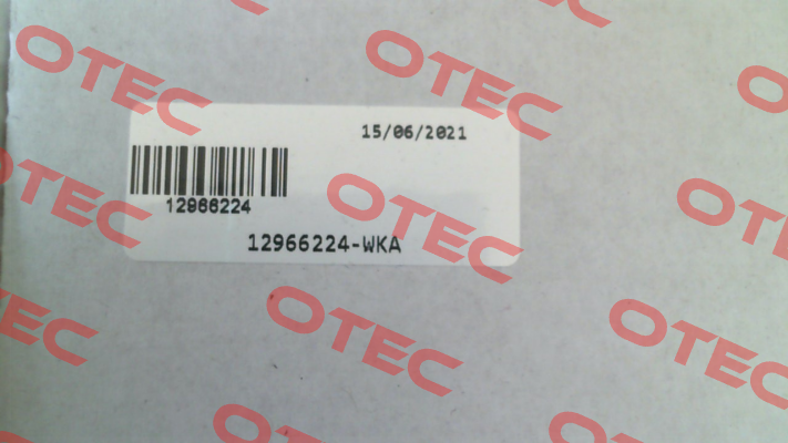 12966224 Tecsis (WIKA Group)