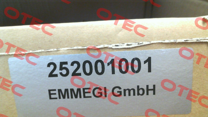 2020K (252001001 ) Emmegi