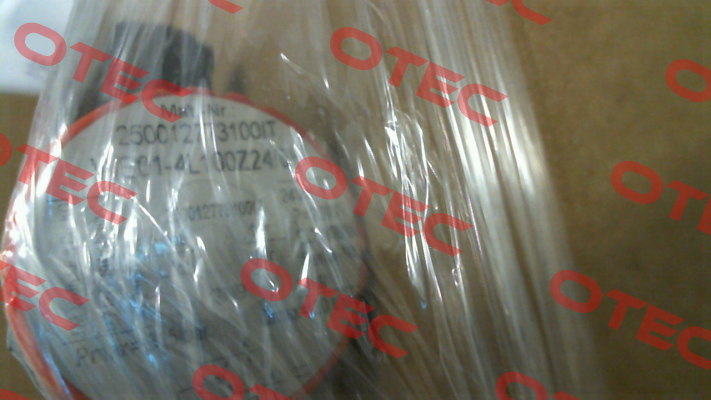 WE01-4L100Z24/0H Voith