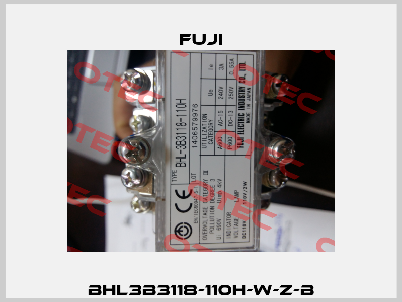 BHL3B3118-110H-W-Z-B Fuji
