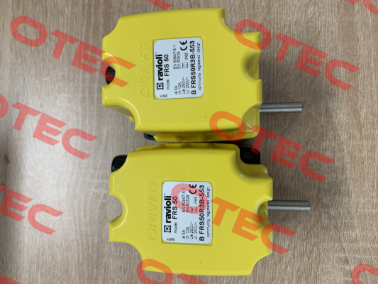 BFRS50R3B-553 Ravioli