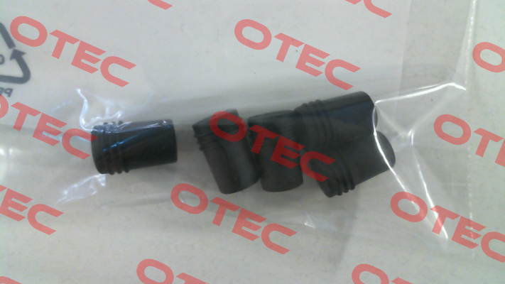 603224 Weishaupt