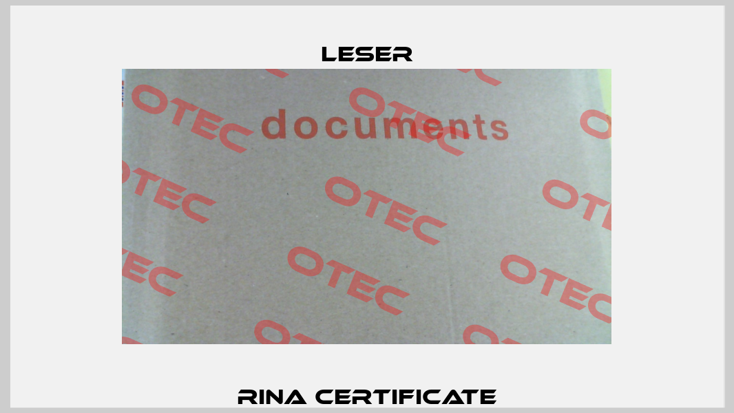 Rina Certificate Leser