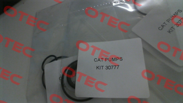 30777 Cat Pumps