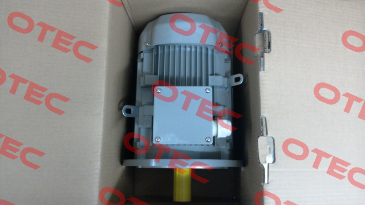 FCPA 132S-6 /PHE AC Motoren