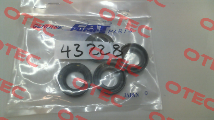43228 Cat Pumps