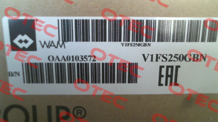 V1FS250GBN Wam