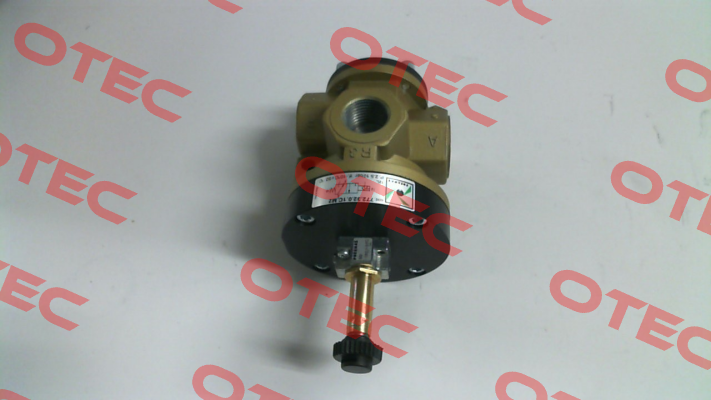 722.32.0.1C.M2 Pneumax