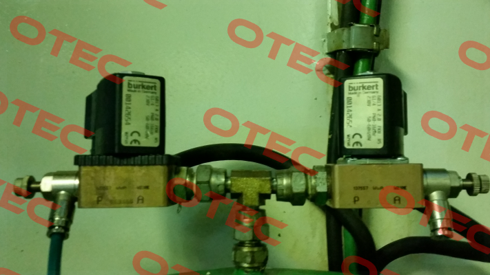 00142654  Burkert