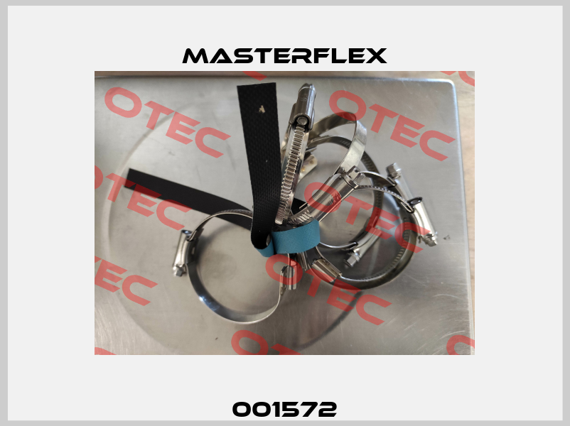 001572 Masterflex