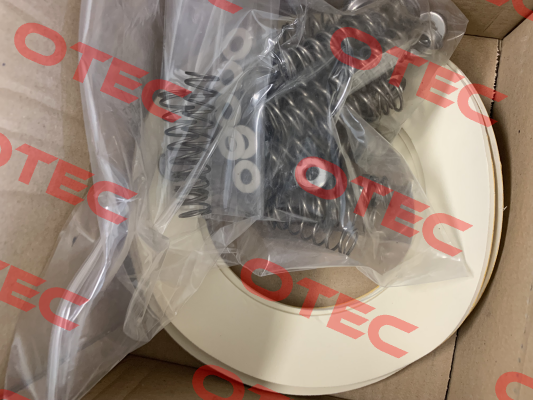 10281412 MIX Srl