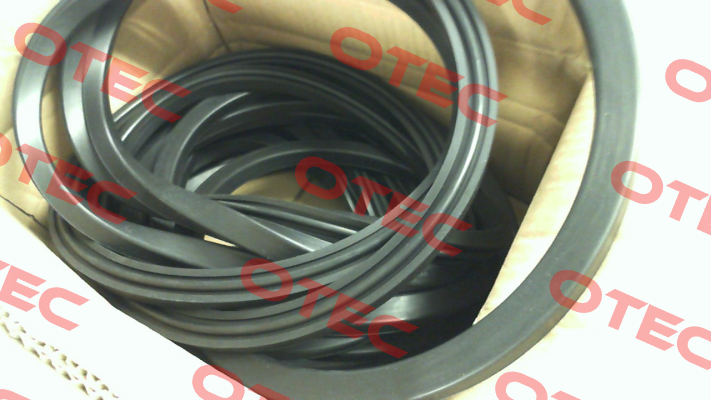 RD Gasket D471 NBR RD560 Rahmer+Jansen