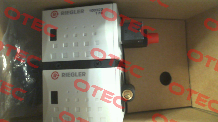 100323 / FU 917 Riegler