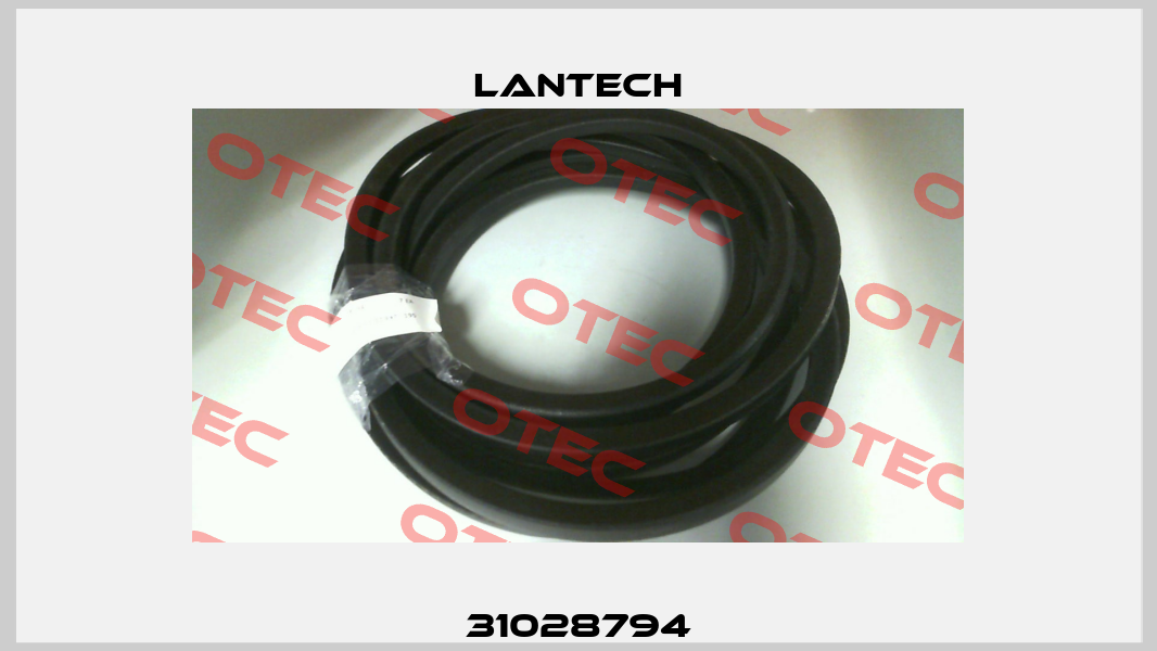 31028794 Lantech