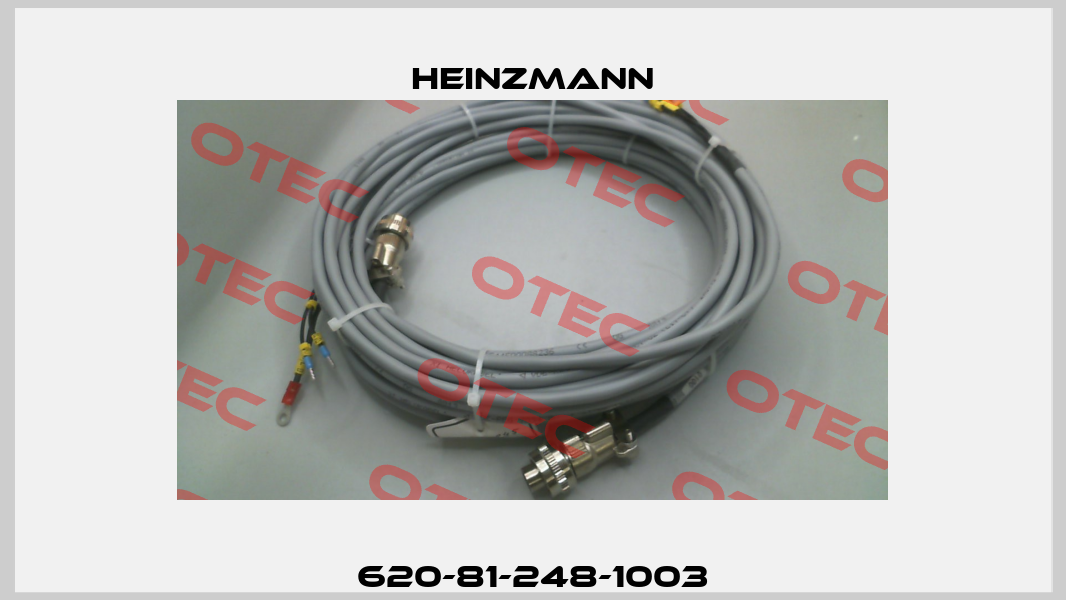 620-81-248-1003 Heinzmann