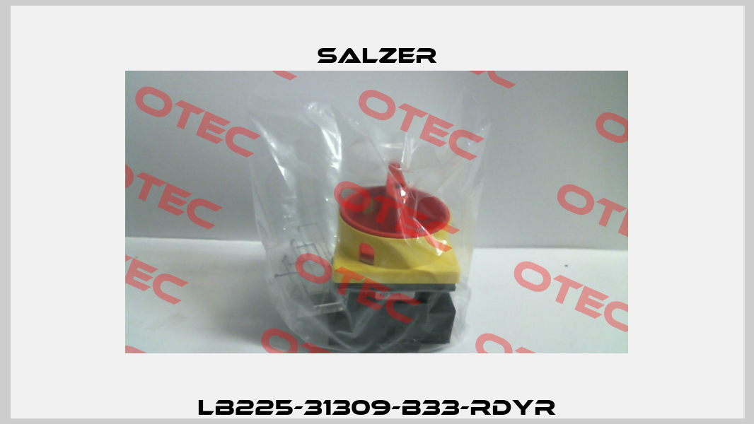 LB225-31309-B33-RDYR Salzer