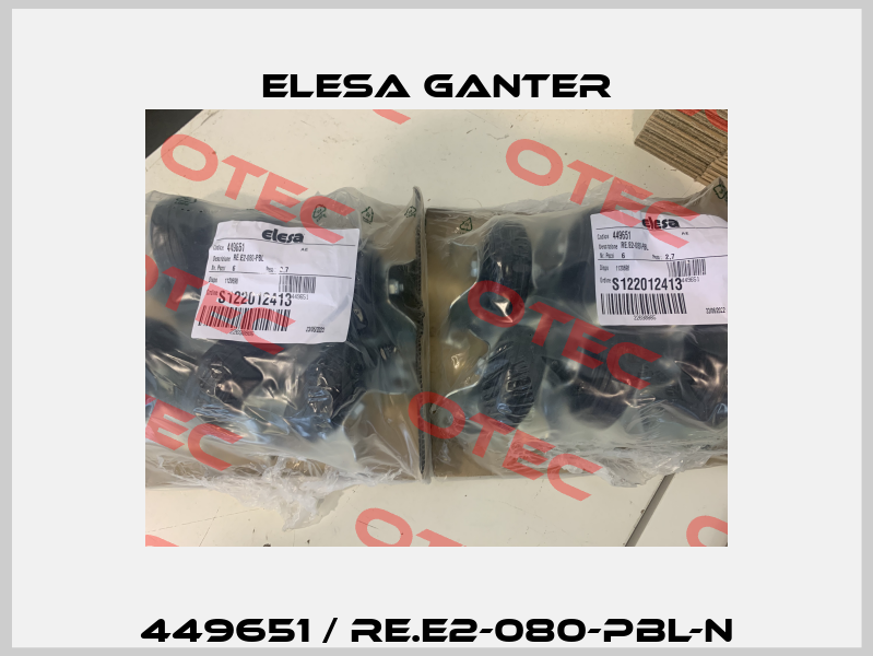 449651 / RE.E2-080-PBL-N Elesa Ganter