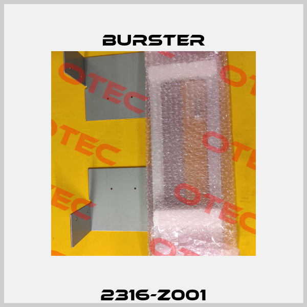 2316-Z001 Burster
