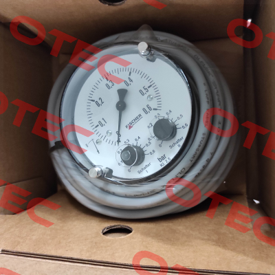 DS21010A21B50W00 Fischer
