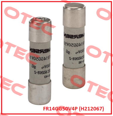 FR14GG50V4P (H212067) Mersen
