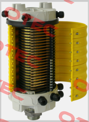 G PRP B12 Ravioli
