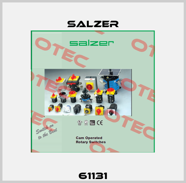 61131 Salzer