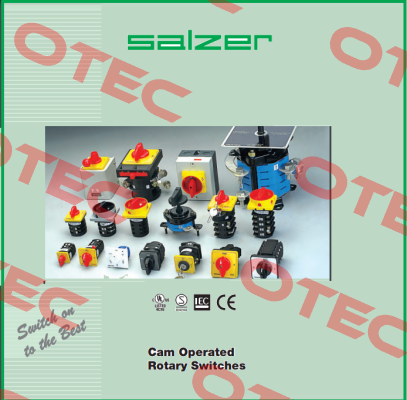 61131 Salzer