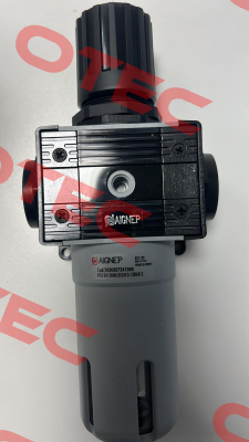 T030307241000 Aignep