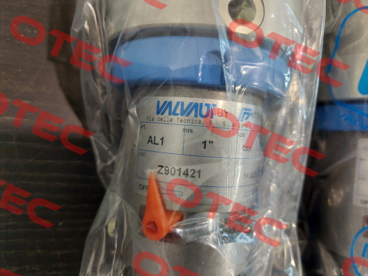 Z901421 Valvaut