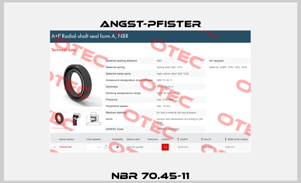 NBR 70.45-11 Angst-Pfister