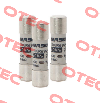 L1014563 / FR10GR69V1 Mersen