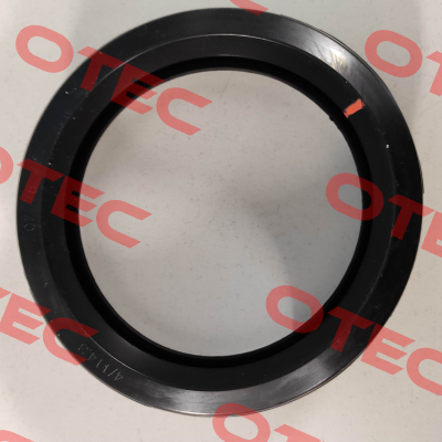 G044077LT1 Victaulic