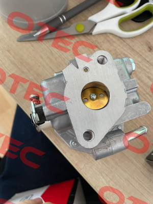809008 Briggs-Stratton