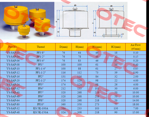 SAP-08-PP  Sejin