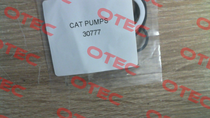 30777 Cat Pumps
