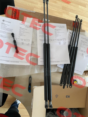 555932 / 0800N /K5/D5 Stabilus