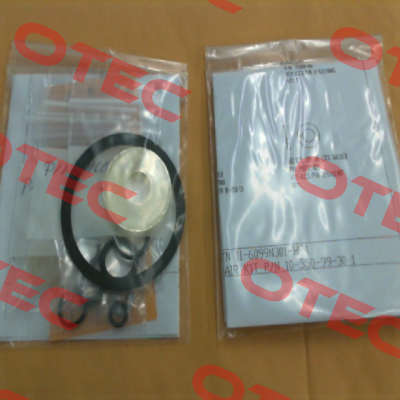 11-6099N301-HF4 SC Hydraulic