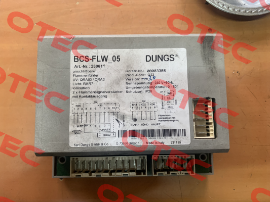 BCS-FLW-05 Dungs