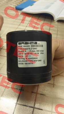 13940500  Brahma