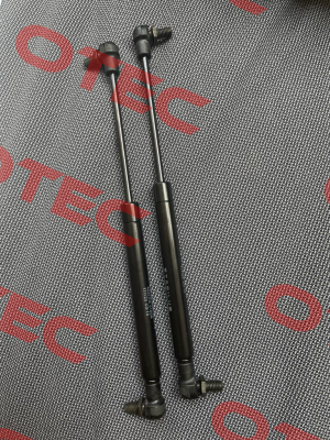 4935DM Stabilus