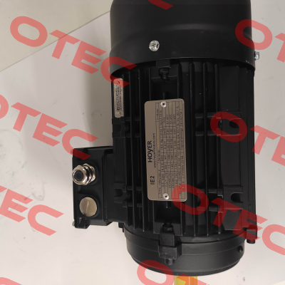 HMA2 90 L-4 IE2 Hoyer Motors